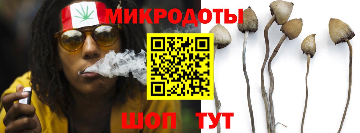 Псилоцибиновые грибы Magic Shrooms  Галлюциногенные грибы GOLDEN TEACHER  Вход с VPN  Новосибирск 